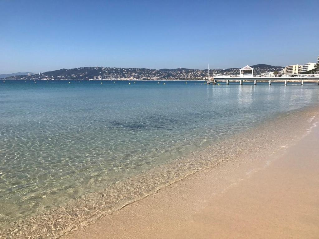 Beau Studio Centre Juan Les Pins A 300M Des Plages Antibes Ngoại thất bức ảnh